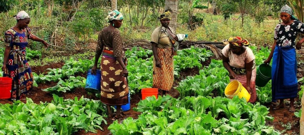 women farmers