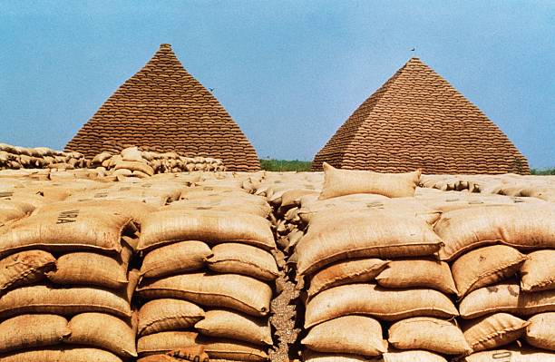 Nigeria's Groundnut Pyramids: A Symbol of Agricultural Heritage